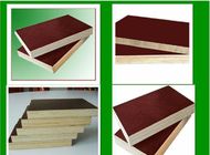 Two Hot Press Film Faced Plywood 17mm For Commercial Construction Projects